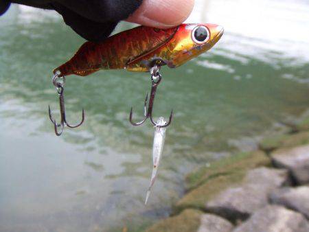 こんなところで漁船が・・・